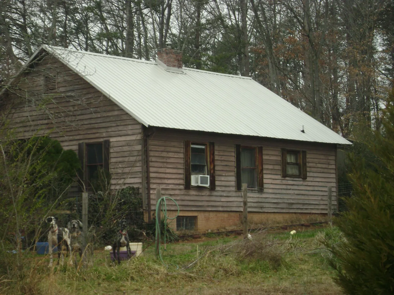 White metal roof on an old wood sided farmhouse, from a Metal Roof Installation job in Cedar Springs